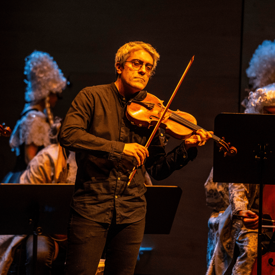 Violinista Forum Musikae