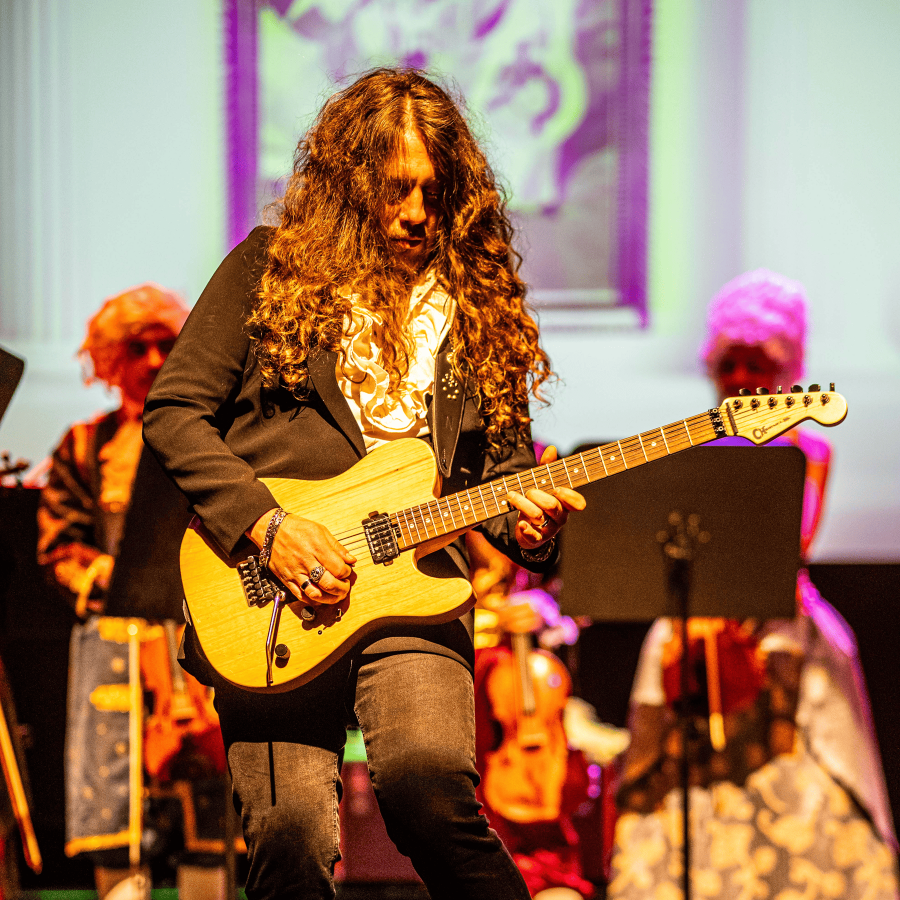 Guitarrista Forum Musikae
